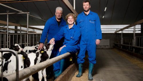 Zorgen-voor-de-kalfjes-voelt-als-een-feestje-2