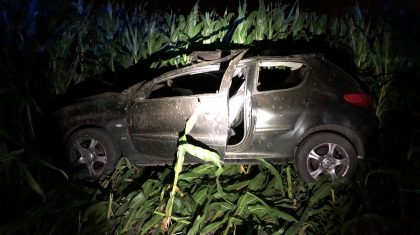 auto-in-maisveld-maseikerweg-weert