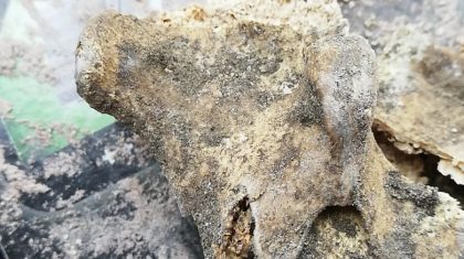 botresten-aan-bij-verbouwing-woning botresten-aan-bij-verbouwing-woning