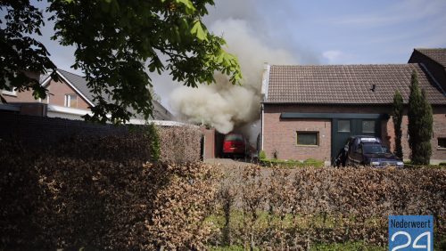 brand
