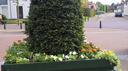 dorpsraad-Ospel-bloemetjes-e1463050721551