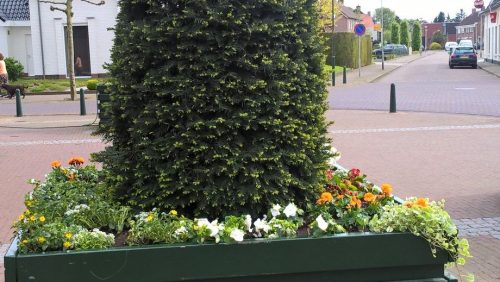 dorpsraad-Ospel-bloemetjes-e1463050721551