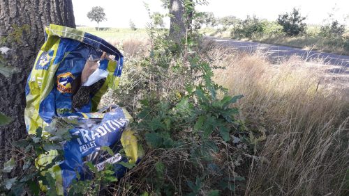 gevonden-voorwerpen-Dode-kip