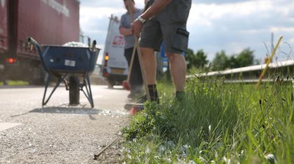 glas-op-randweg-Zuid-Nederweert-5