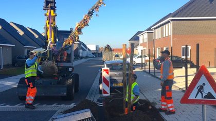 groenvoorziening-nederweert