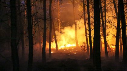 grote-bosbrand-Defensieweg-Baexem-6 grote-bosbrand-Defensieweg-Baexem-6