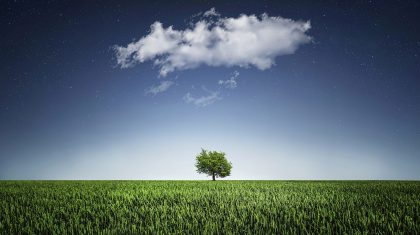 inspiratie-boom-horizon