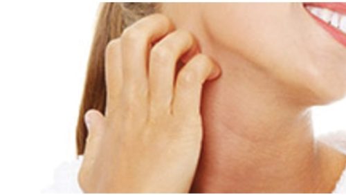 jeuk-Alphega-Nederweert