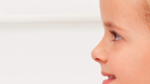 kinkhoest-Alphega-Nederweert