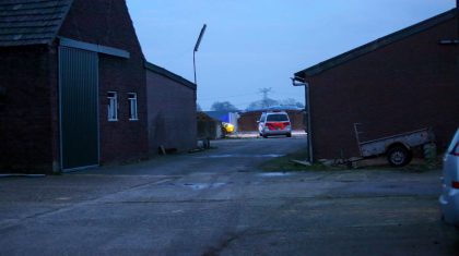 man-door-dak-rundveestal-2