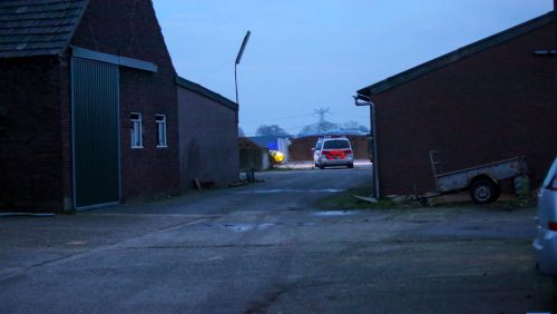 man-door-dak-rundveestal-2