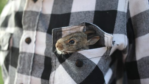 marlous-swinkels-zoekende-zielen