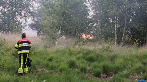 natuurbrand-de-Groote-Peel-4