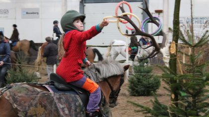 ponyspellendag-Budschop-paarden