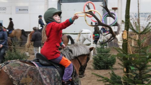 ponyspellendag-Budschop-paarden