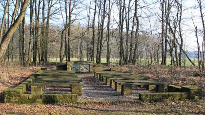 radiouitzending-Alfons-Bruekers