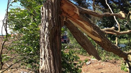 stormschade-Wessemerdijk-Nederweert-6