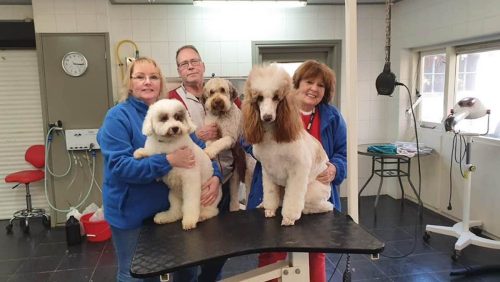 trimsalon-Jetty-van-der-Hulst