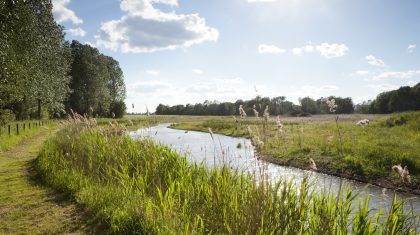 De Krang wordt in het noorden doorsneden door de Leukerbeek en in het zuiden door de Tungelroyse Beek.

Het natuurgebied bestaat uit loof- en naaldbos, hakhout, grasland en oude bolle akkers. Door het verschil in hoogte en vochtigheid komen er veel verschillende soorten planten en dieren voor. 

De Krang was vroeger een nat gebied. Op sommige plaatsen zijn door wegstuivend zand duizenden jaren geleden kommen in het dekzand ontstaan; hier vormden zich moerassige gebieden die door de plaatselijke bevolking werden gemeden. 

Later werden deze veengebieden door egalisatie en ontwatering geschikt gemaakt voor de landbouw. De Roukespeel is een overblijfsel van zo’n voormalig moerasgebied. Er staat een vogelkijkscherm langs de wandelroute, waar u vaak dodaars en wintertaling kunt spotten.

Door ontwateringssloten af te dammen wil Natuurmonumenten De Krang weer natter maken. Ook diverse poelen zorgen ervoor dat het water langer in het gebied blijft. In de poelen leven amfibieën als alpenwatersalamander en kamsalamander. Bij de Leukerbeek is een ven gerestaureerd waar nu riet, lisdodde, gele lis en egelskop groeien. In het noorden is een aantal vennen aangelegd waarvan onder andere de kwartelkoning profiteert. 

In en rond De Krang vindt natuurontwikkeling plaats. Wanneer de humusrijke bovenlaag wordt afgegraven om schraal grasland te ontwikkelen, komen oude zaden bloot te liggen. Wellicht ontkiemen hier zeldzame orchideeën. Om in de natuurontwikkelingsgebieden een gevarieerde begroeiing te krijgen vindt er seizoensbegrazing plaats.

(Bron: Natuurmonumenten)