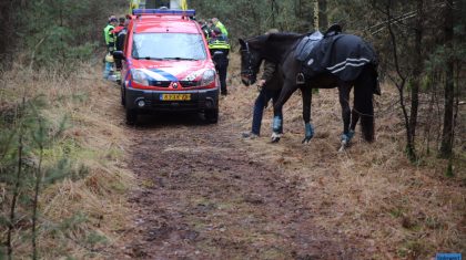 val-van-paard-Someren-1