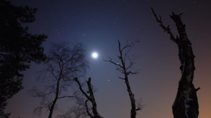 Moonlit sky with Jupiter and Taurus
Shot at Kiezelven
Single exposure