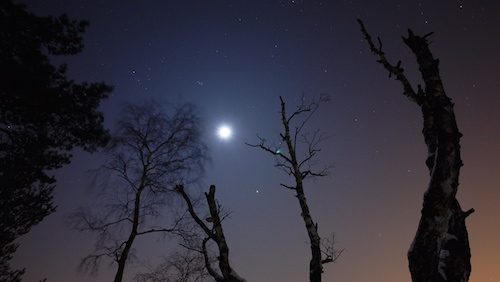 Moonlit sky with Jupiter and Taurus
Shot at Kiezelven
Single exposure
